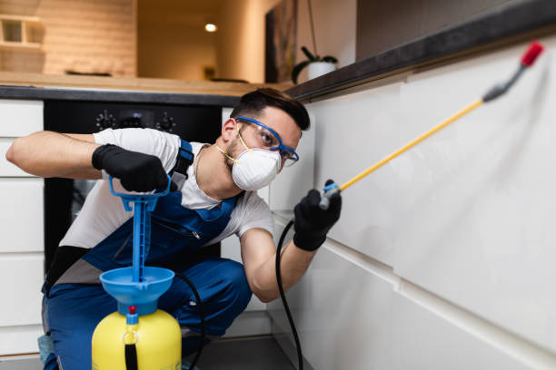 Best Bed Bug Extermination  in Waimalu, HI
