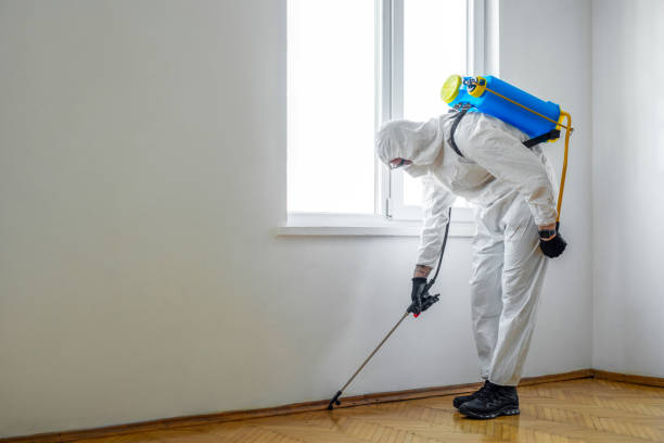 Best Commercial Pest Control Services  in Waimalu, HI