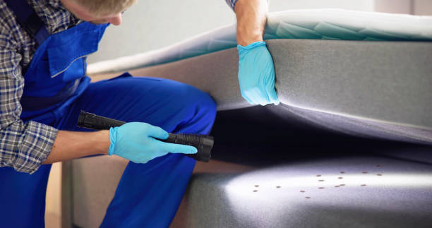 Best Pest Control for Homes  in Waimalu, HI
