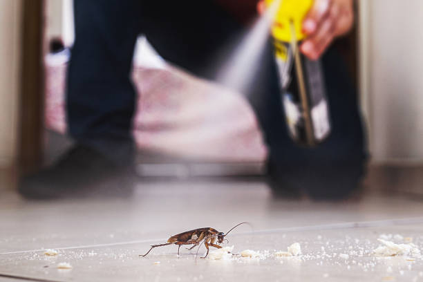 Best Best Pest Control Companies  in Waimalu, HI